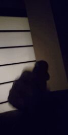 Messenger_creation_3E3A665D-5AEE-4D68-81D6-21963FF7190D